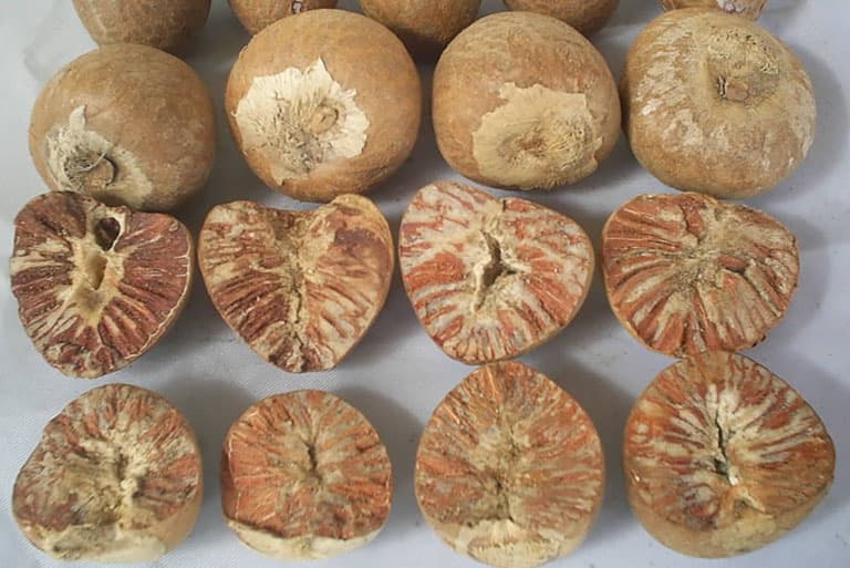 Dried whole areca for export_Dried split betel nut good quality for export from factory