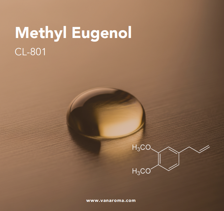 Methyl Eugenol _CL_801_
