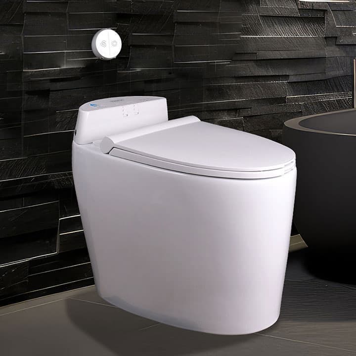 Touchless Flushing Toilets_digital toilets_ no touch toilets_ smart toilets