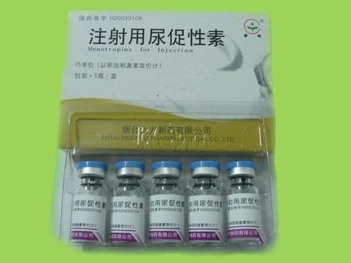 HMG Human Menopausal Gonadotropin