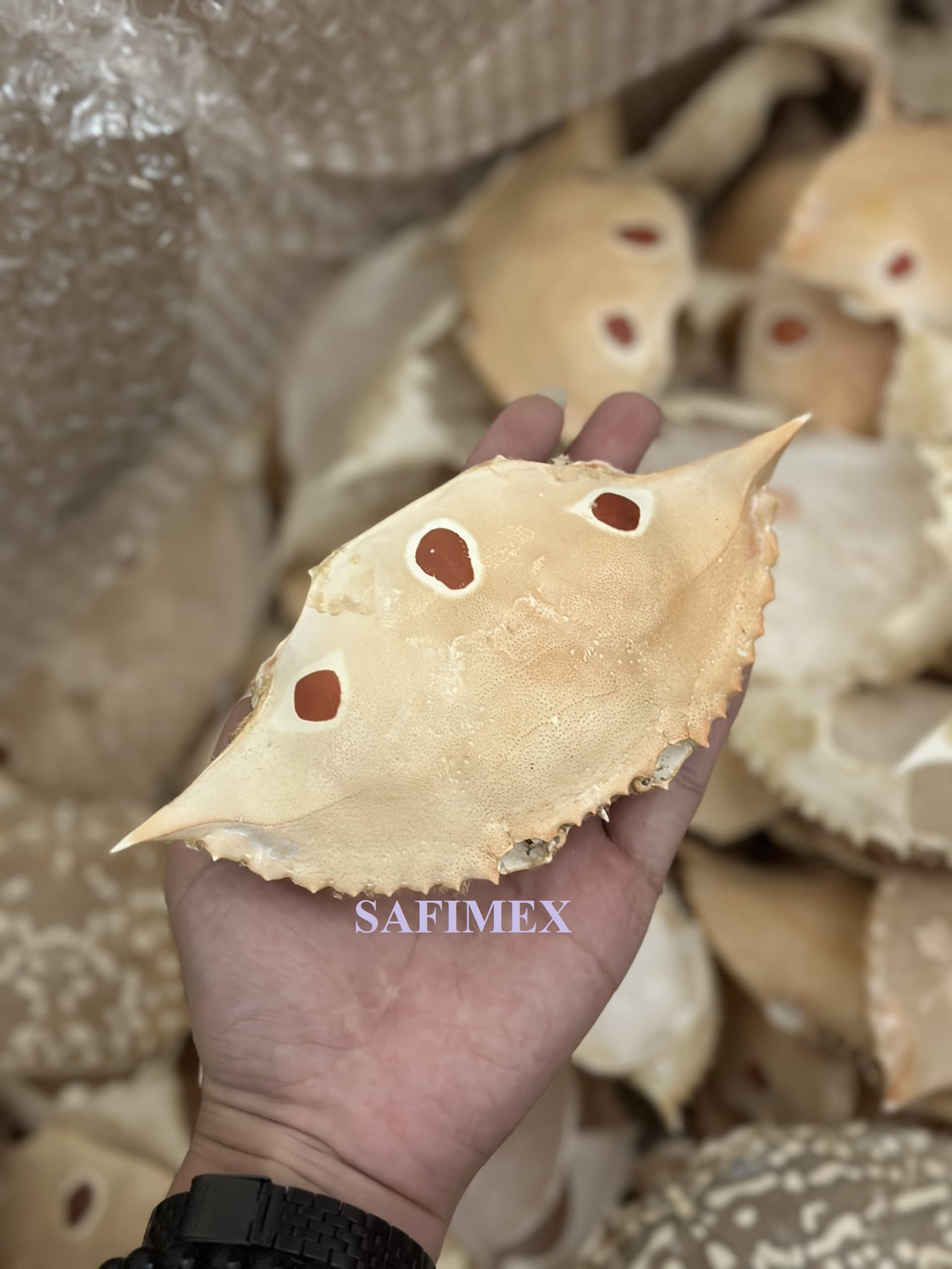 Raw crab shell whole clean for stuffed crab shell meat_ Stuffed crab shell_ Crab shell food stuff