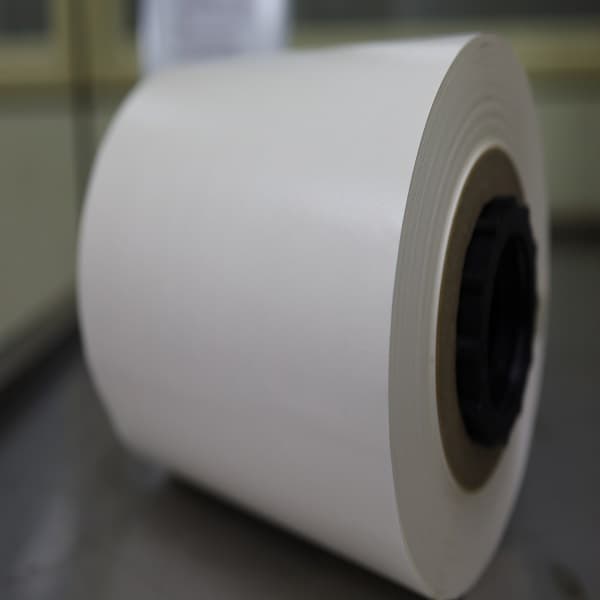 Eco_coated Master Roll _Fully Recyclable _ Biodegradable_