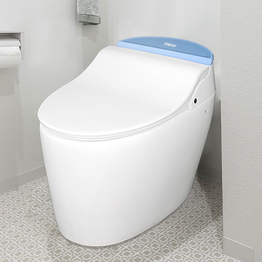 Tankless Smart Toilets with Bath No_9_ALB_R14895P