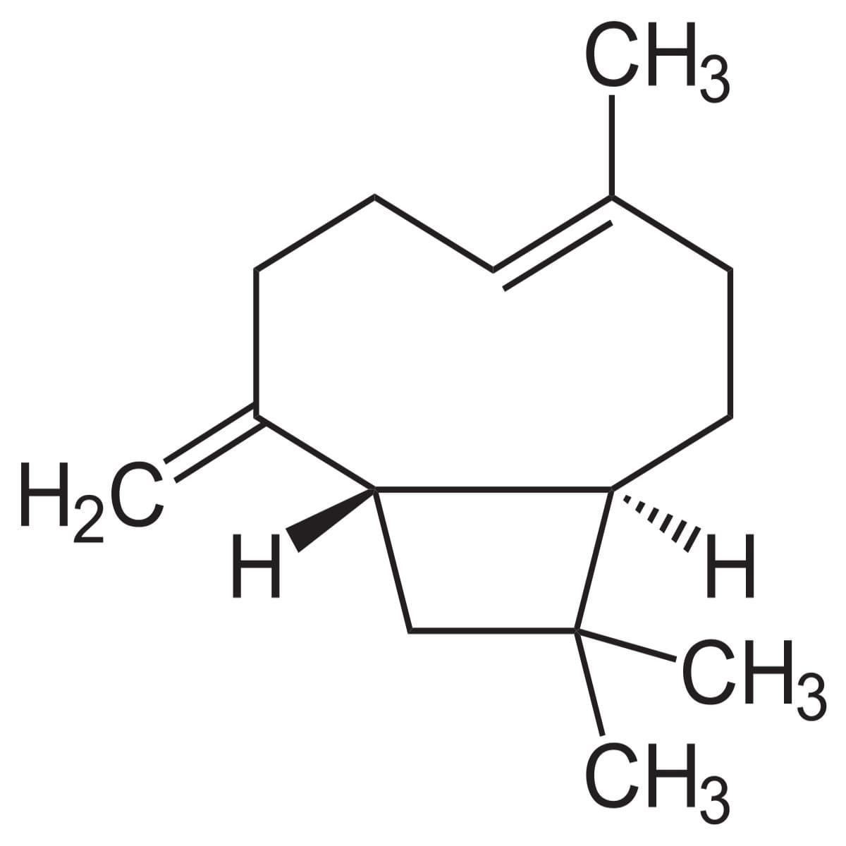 Beta Caryophyllene Acetate
