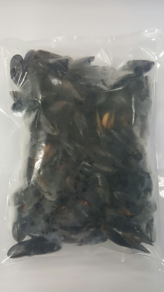 IQF Steamed Mussels | tradekorea