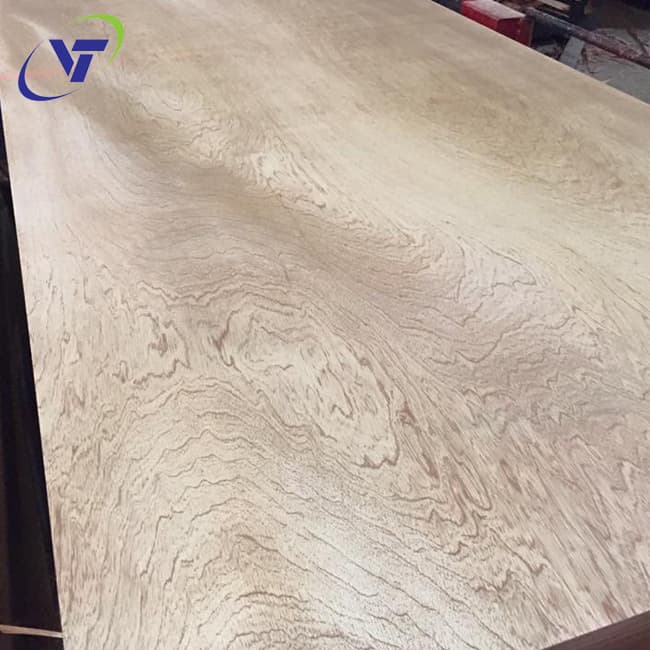 High Quality Sapele Plywood Grade AB