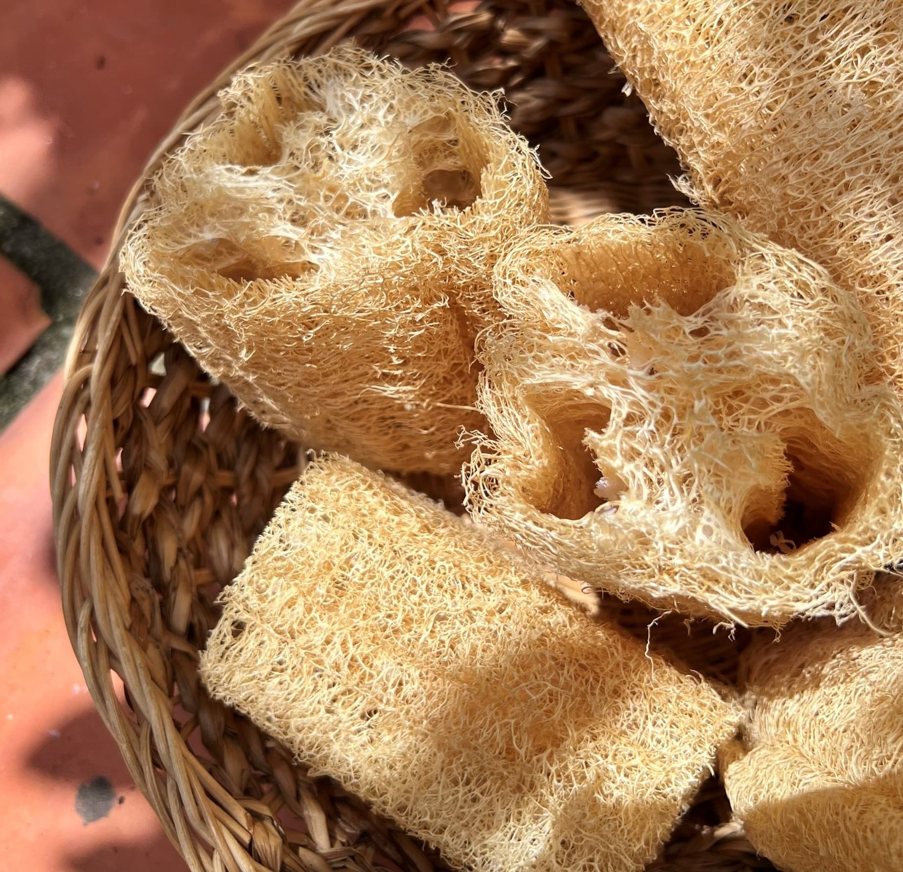 Natural loofah cut for body scrub high quality no chemical from Vietnam_Loofah cut pressed