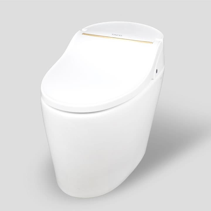 Tankless Smart Toilets_TST_DX5R00RS_D1