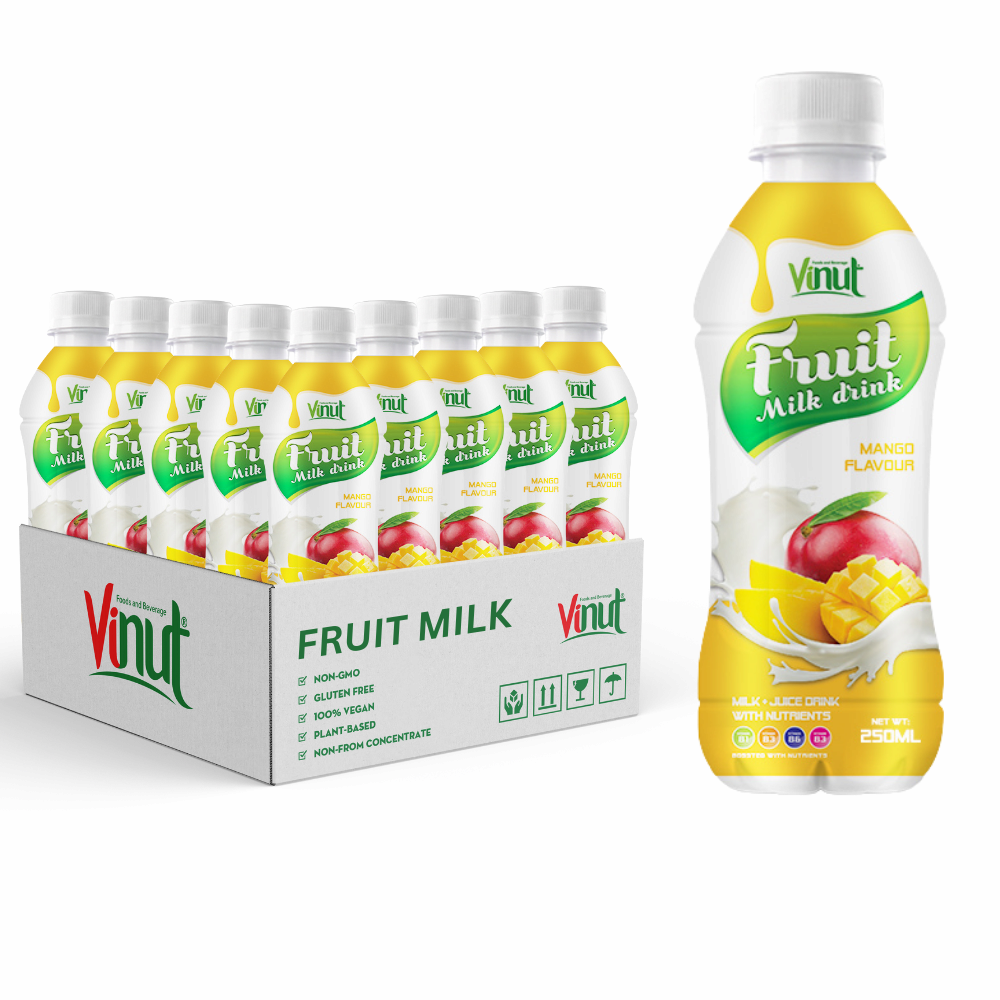 Manufacture Beverage Soft Drink_Private Label OEM _ 250ml Bottle Juice Drink Organic Natural Mango