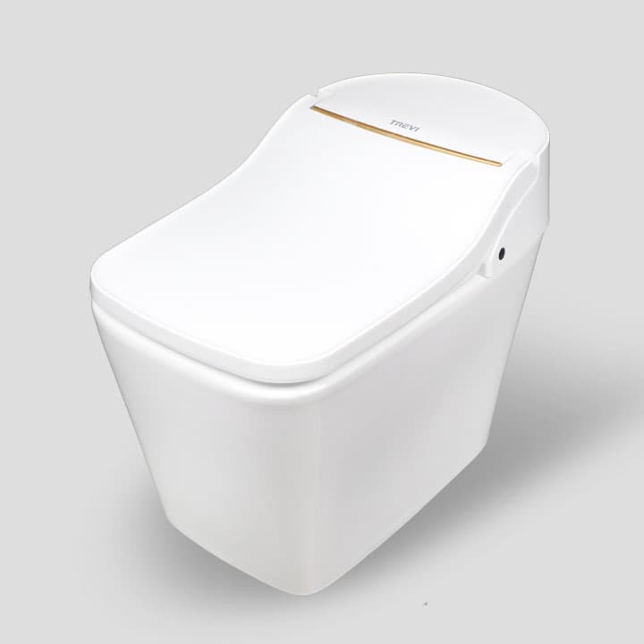 Tankless Smart Toilets_TST_DX5R00SS_D1
