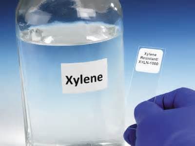 xylene-dimethylbenzene