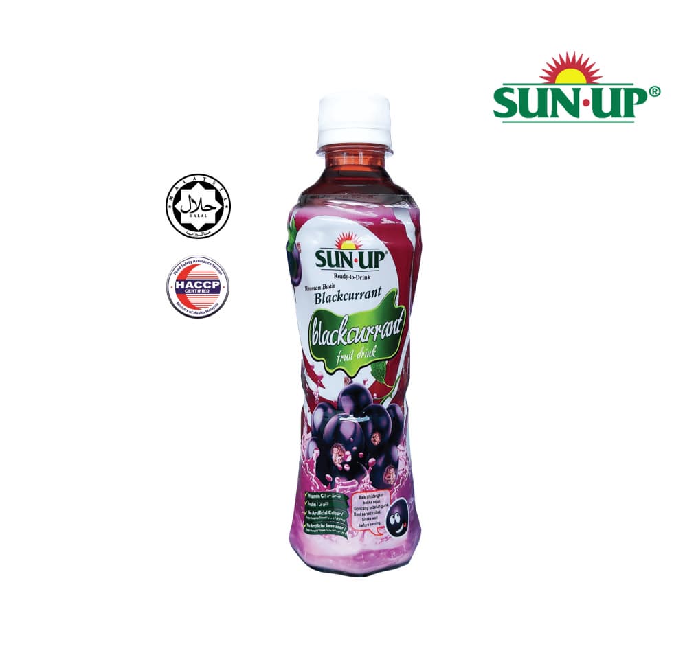 Sun Up Black Currant with pulp Ready_To_Drink Fruit Drink organic _ 350ml