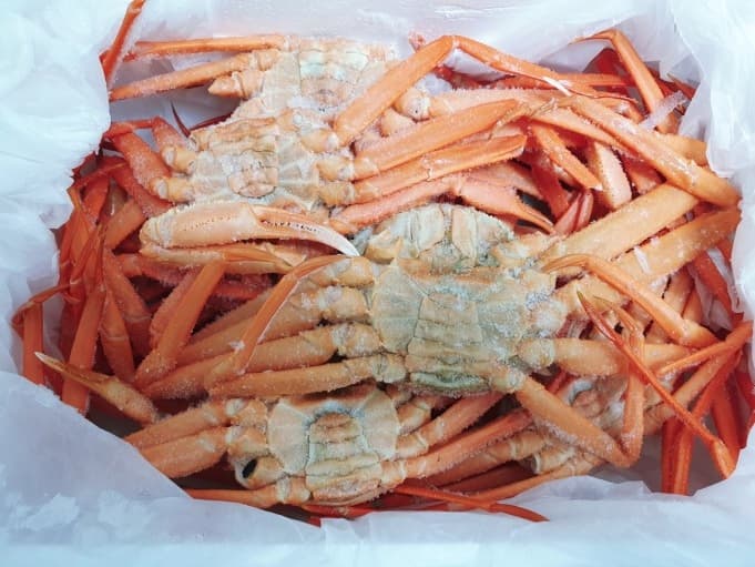 Red Snow Crab