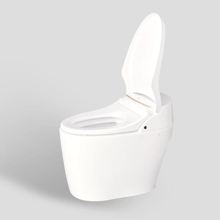 Tankless Smart Toilets_TST_DX5R90RS_D1