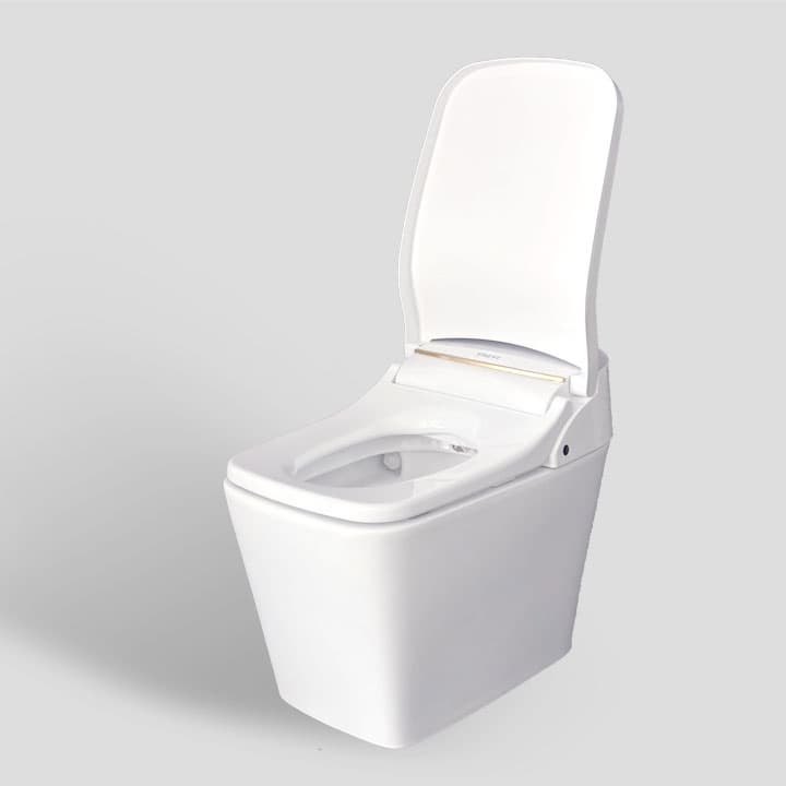 Tankless Smart Toilets_TST_DX5R90SS_D1