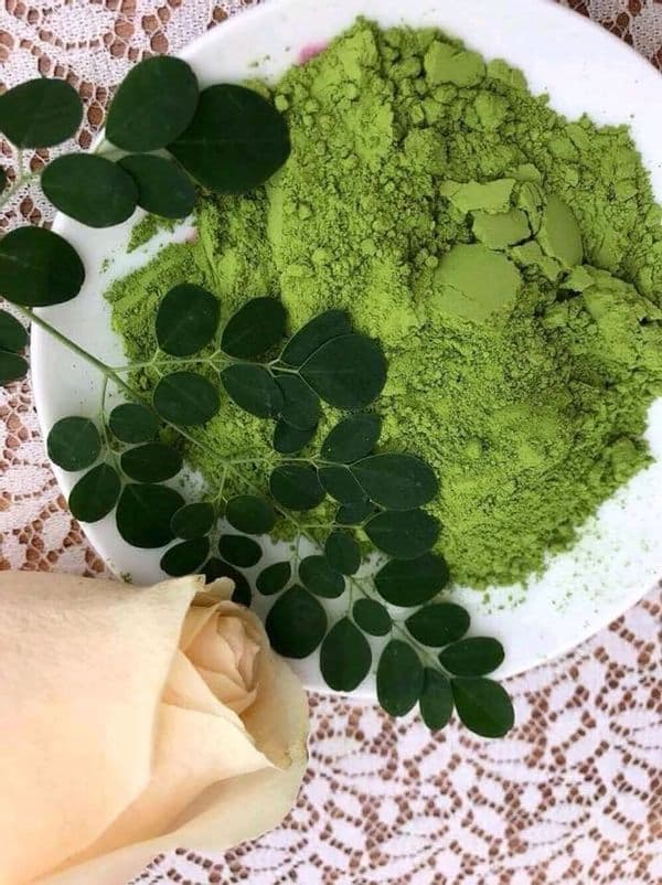 Organic moringa powder leaf  100_ natural no preservative good for health from Vietnam supplier