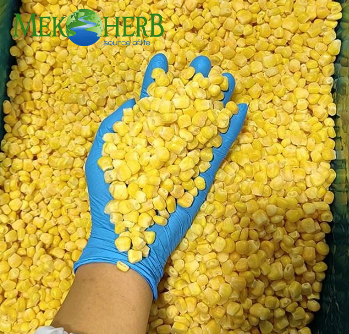 IQF FROZEN CORN KERNELS