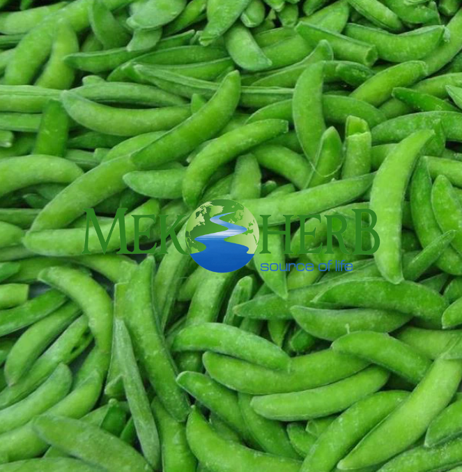 IQF FROZEN GREEN BEENS