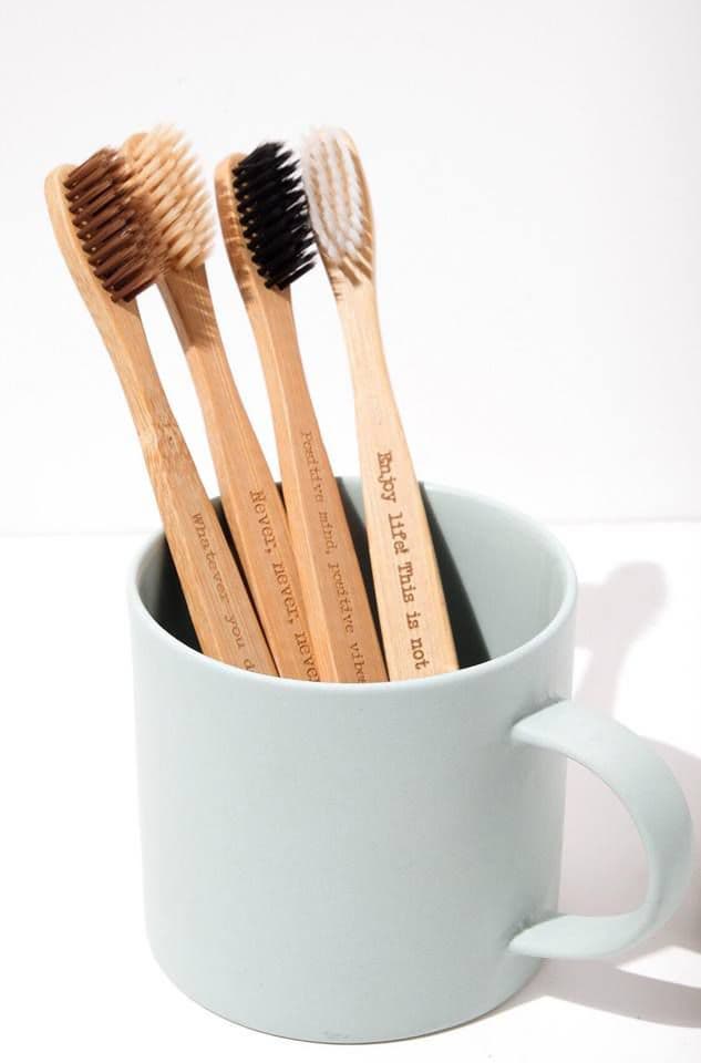 Eco friendly bamboo toothbrush reusable cheap price from Vietnam