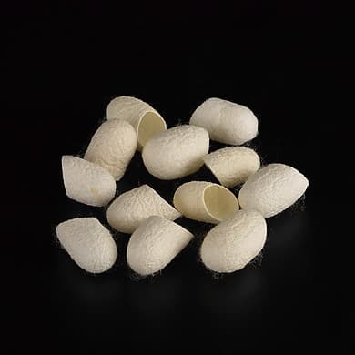 CUTTING SILKWORM COCOON FROM VIETNAM FOR FACE CLEANING_VIETNAMESE HIGH QUALITY SILK FIBER