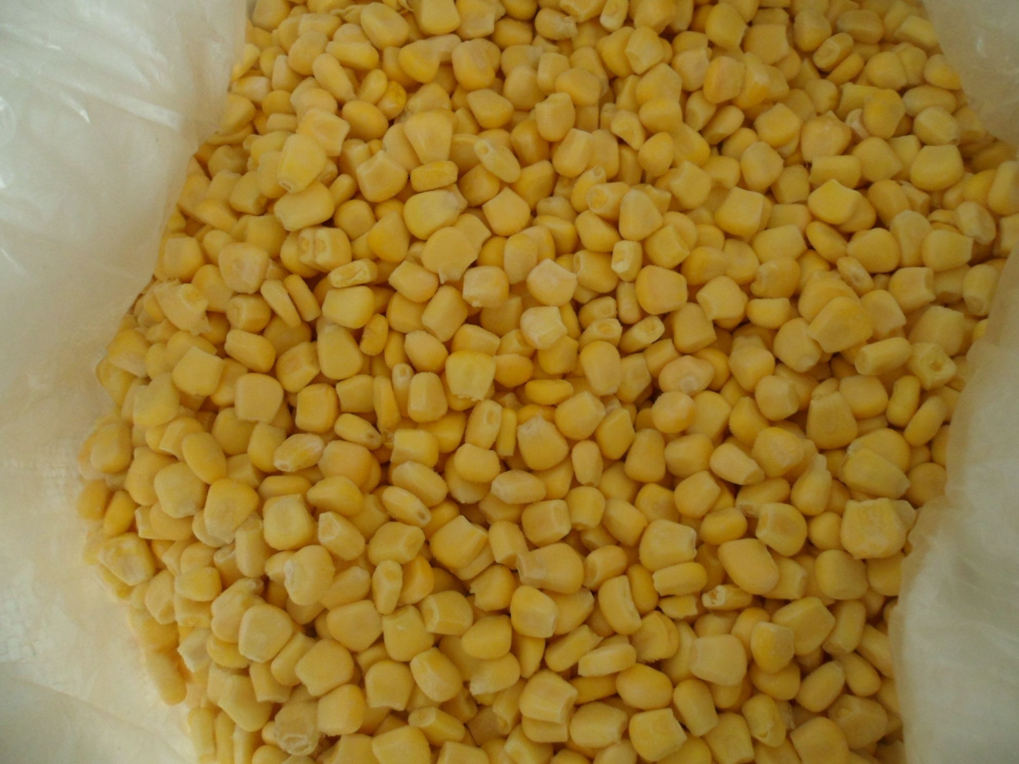 IQF Sweet corn kernel _NON GMO_