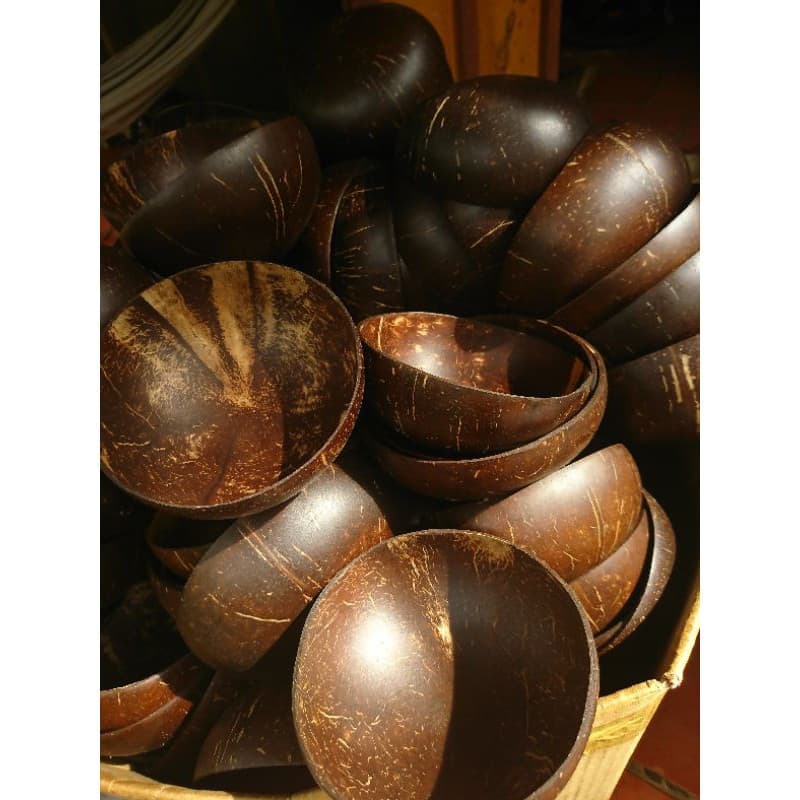 Coconut bowl from Vietnam_Wholesales coconut shell bowl reusable eco friendly dinner ware 2023
