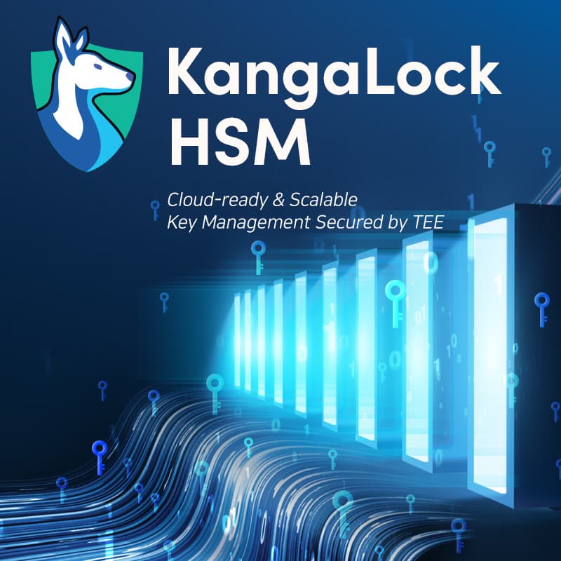 KangaLock HSM _ Key Management Solution