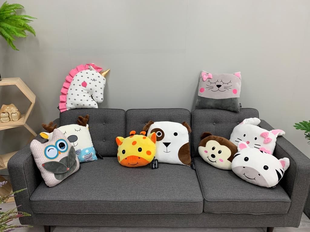 Character Cushions
