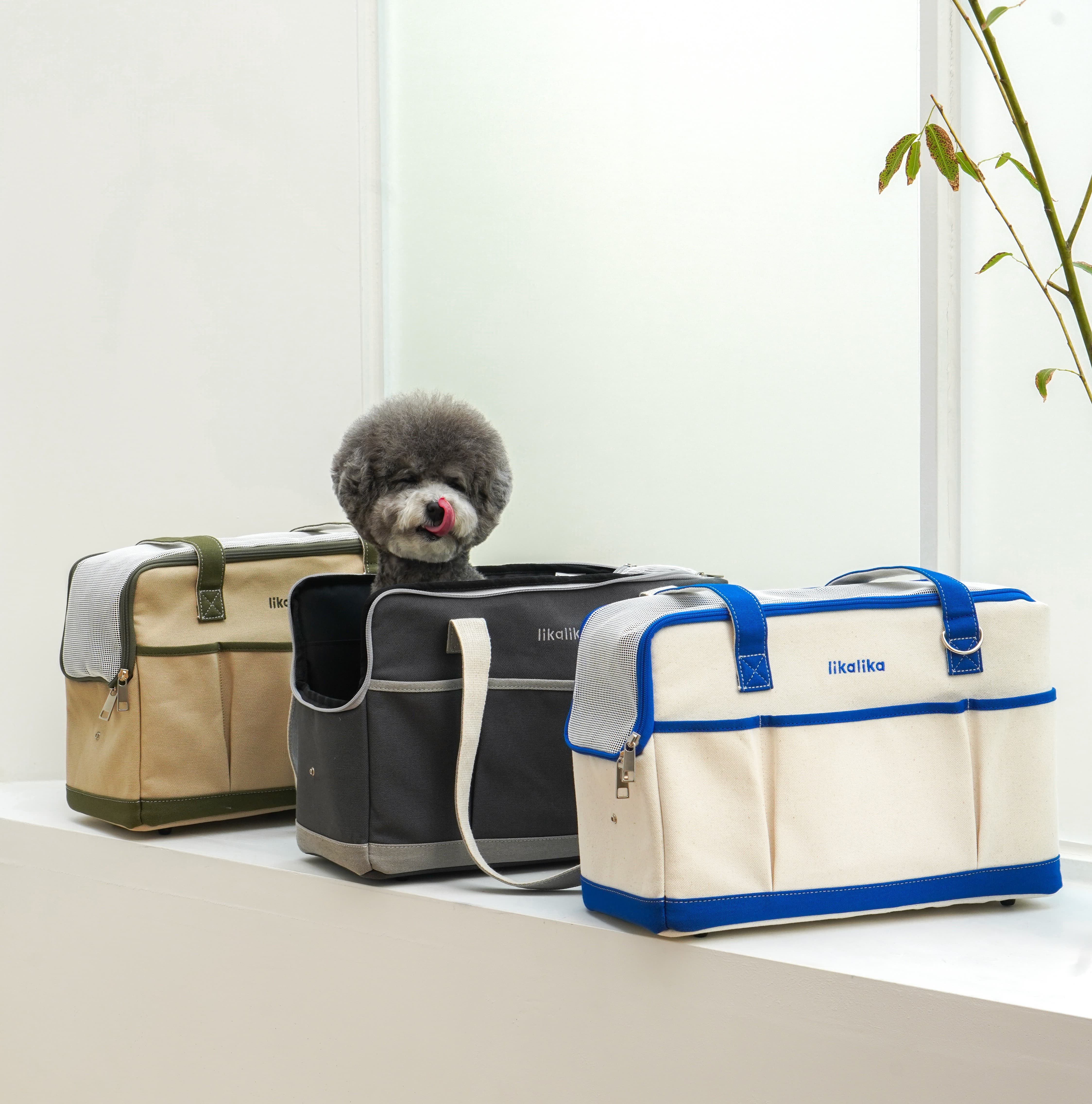 Lika Bag Pet Carrier for Small Medium Dogs and Puppy from South Korea Airline Approved Trave Carrier