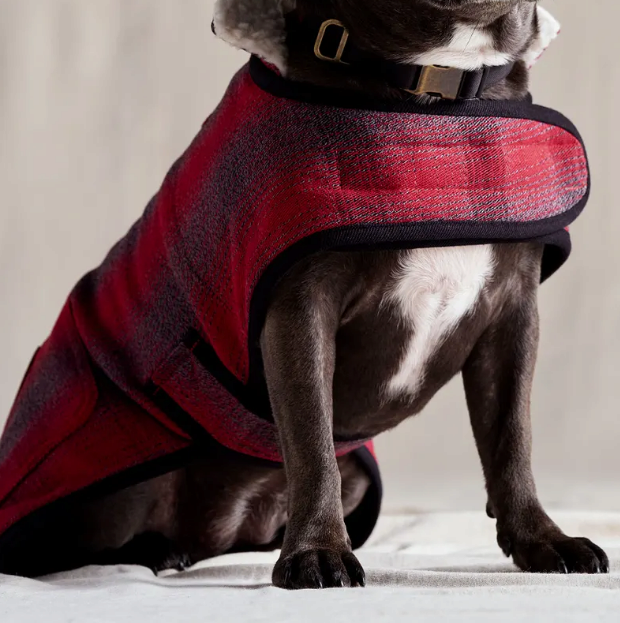 Pet clothes Dog rain coat made in Korea