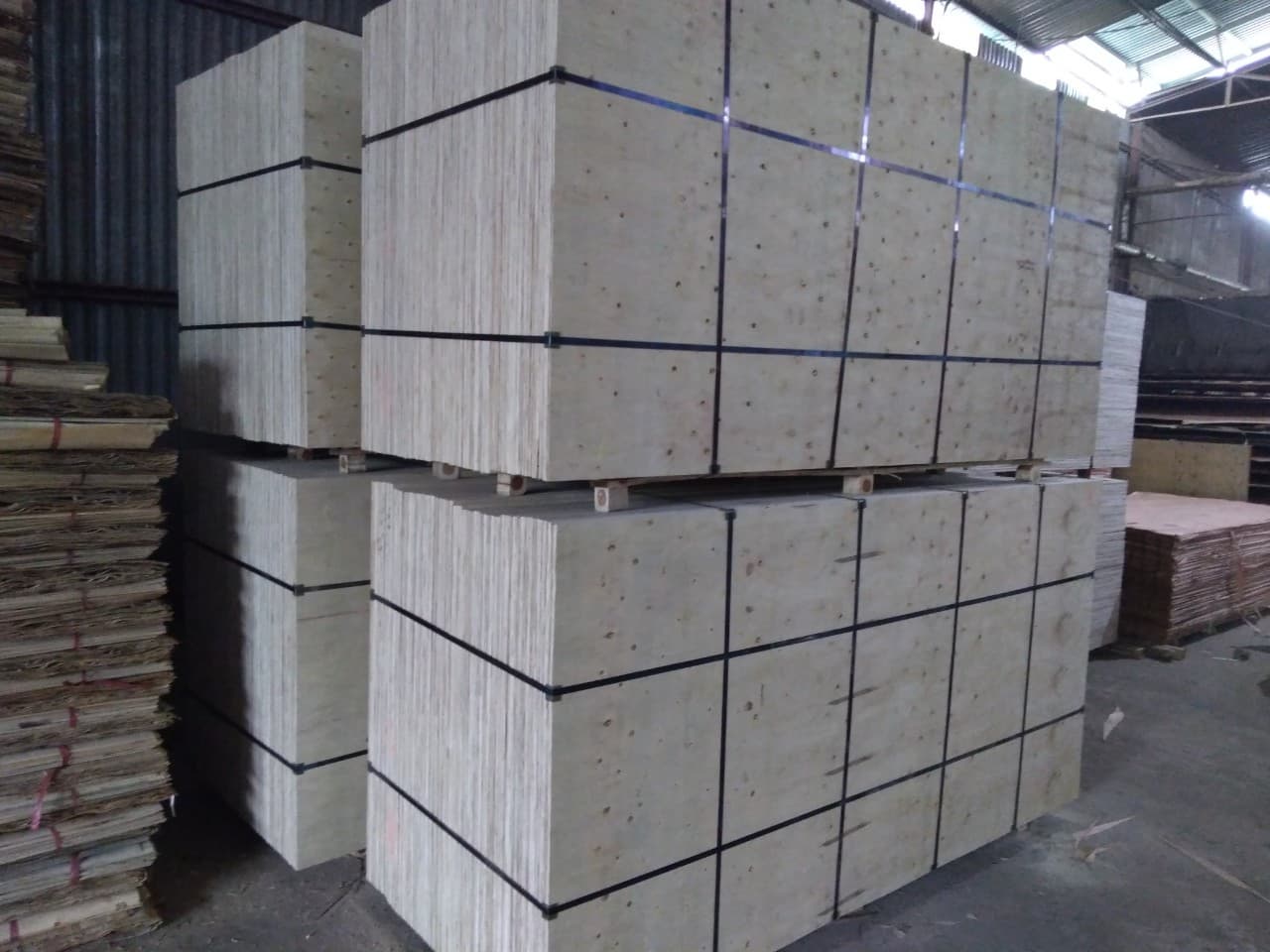 Packing plywood 2440 x 1220 size with 7mm thickness