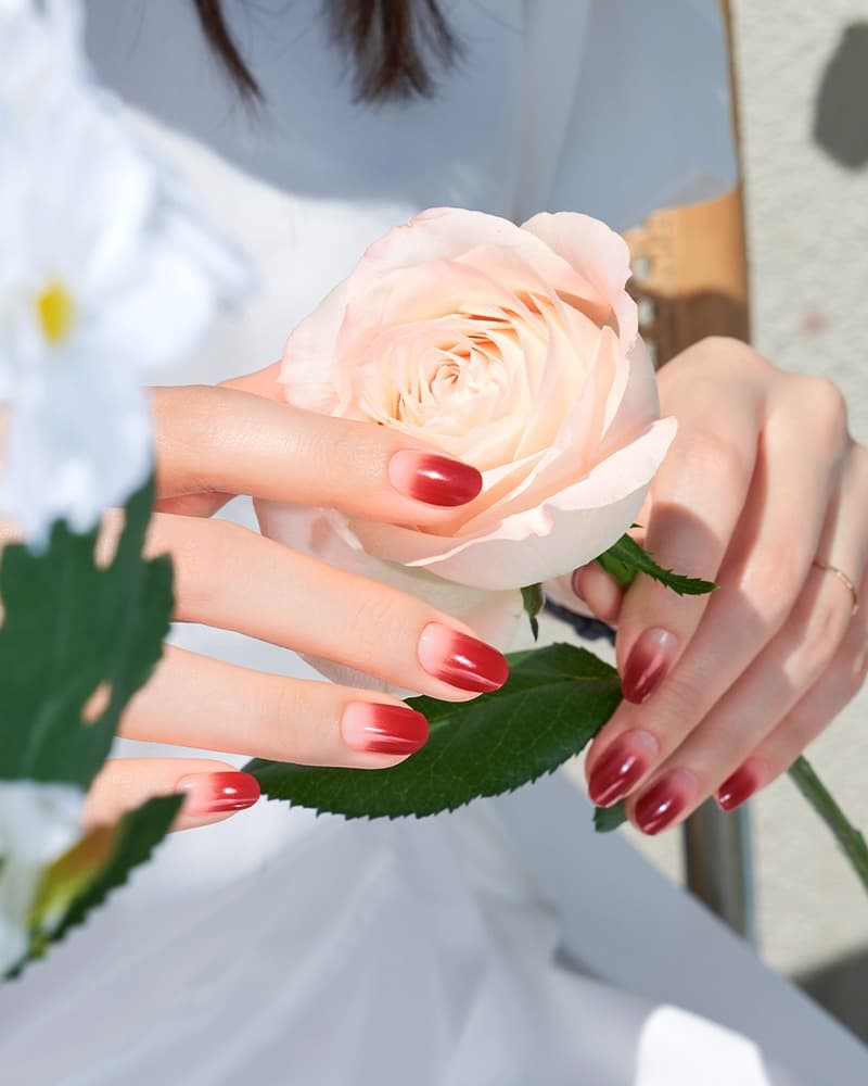 Premium volume Gel  nail_18 colors_made in korea_ Daily fashion items for woman