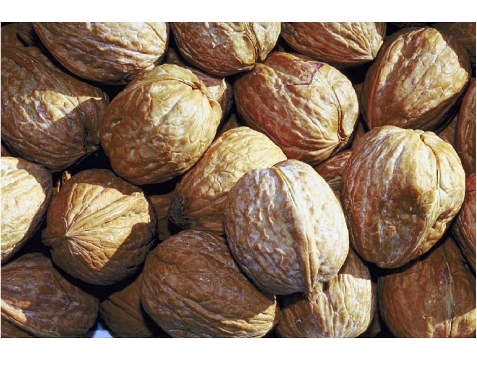 WALNUTS