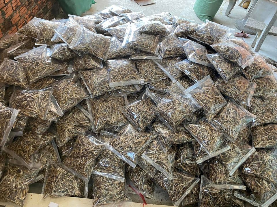 Dried Small Anchovy fish 4_6cm Not Boil Type from Vietnam Supplier 2023