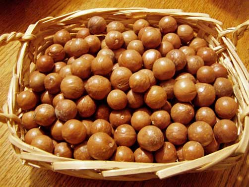 Roasted Macadamia Nuts With and Without Shells