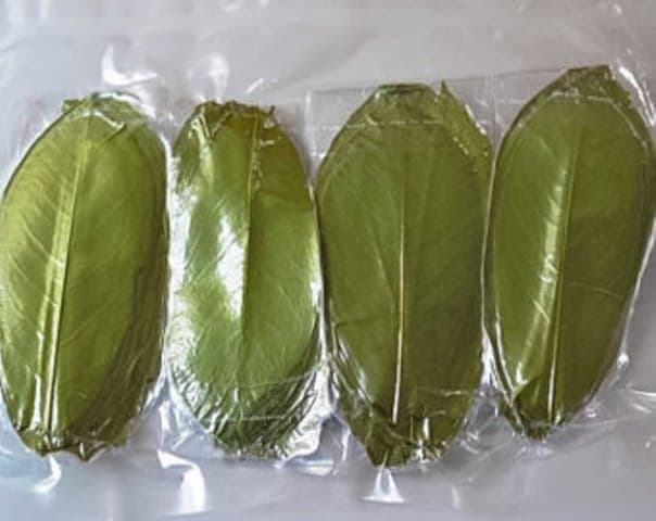 Soursop Leaf Tea (Annona muricata)