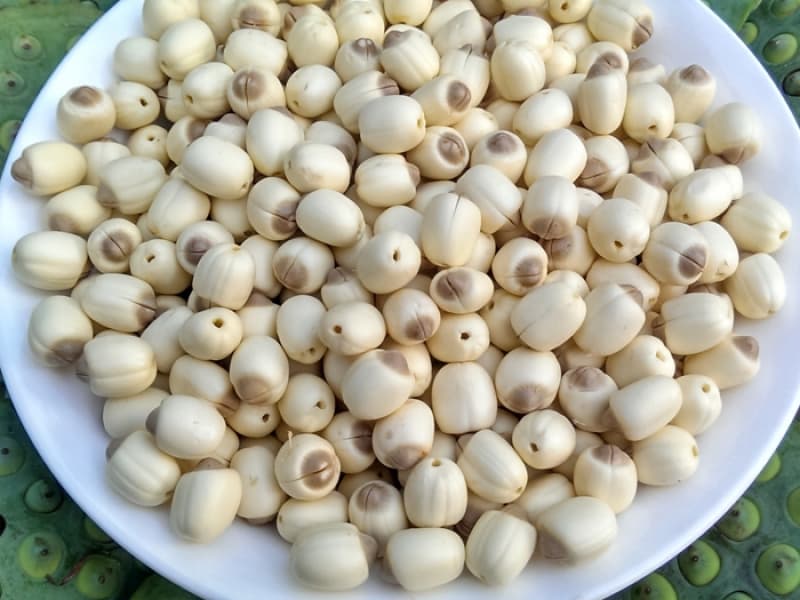 Lotus Seeds | tradekorea