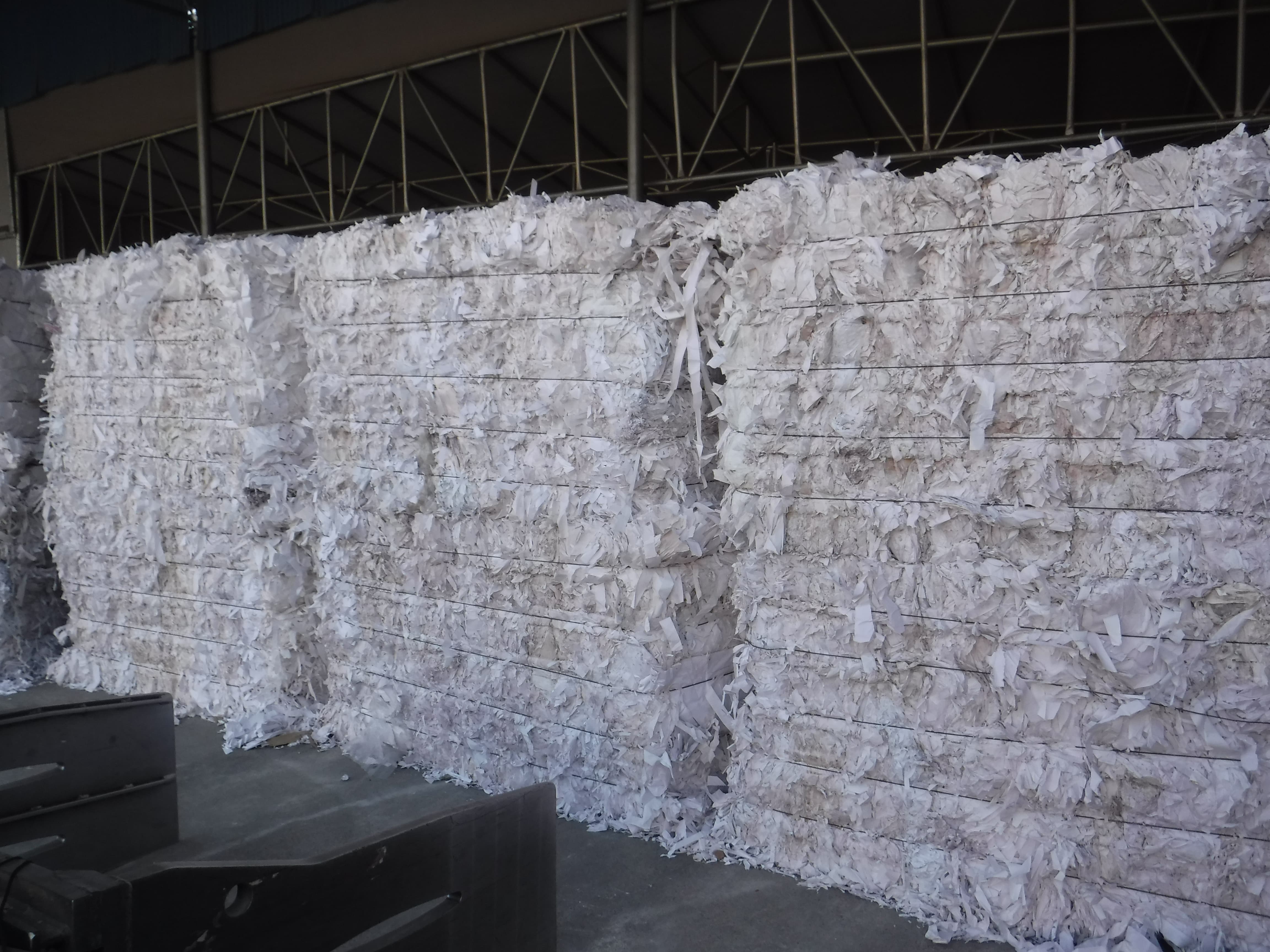 HWS_ Hard White Shavings_ Korea waste paper_ white paper for receipt_ high_class recycling paper