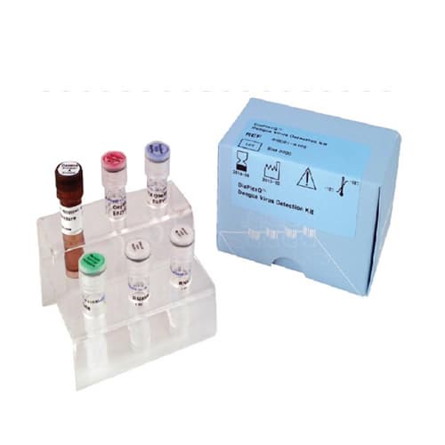 DiaPlexQ Dengue Virus Detection Kit | tradekorea