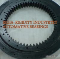 black/zinc treatment slewing ring bearing