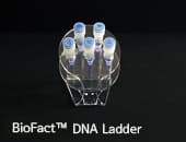 BioFact DNA Ladder
