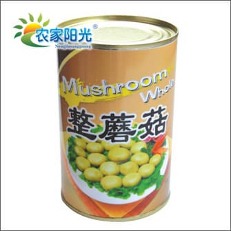 canned mushroom