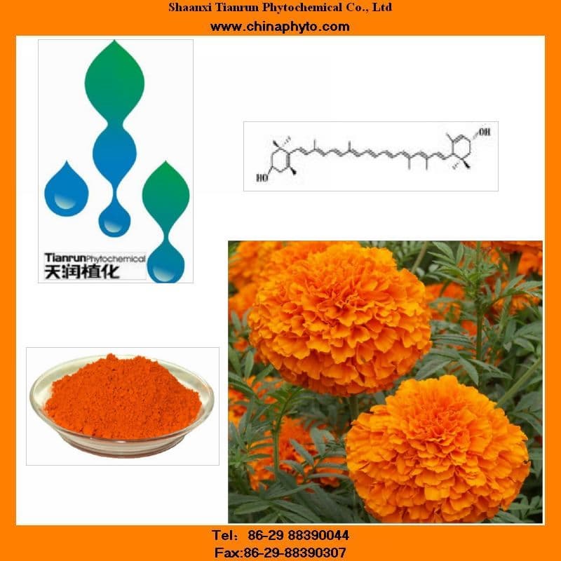 Marigold extract with super lutein powder, capsules, oil and zeaxanthin