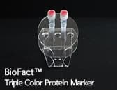 BioFact Triple Color Protein Marker