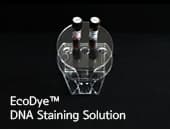EcoDye DNA Staining Solution