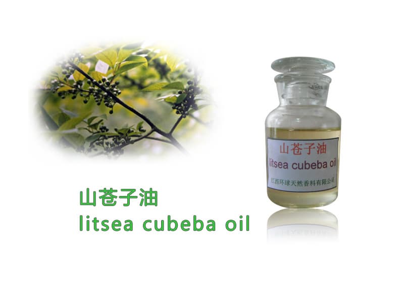 Natural Spice oil of pure natural litsea cubeba oil,perfume,plant extract,CAS No. 68855-99-2