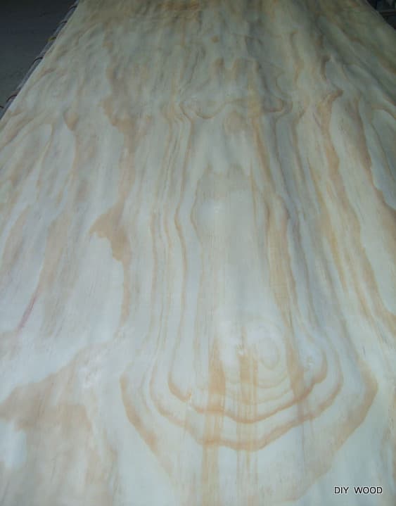 New Zealand Pine Veneer