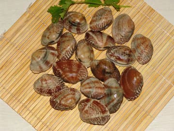 Seasoned short necked clam salad