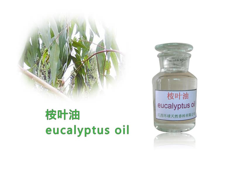 Natural spice oil of natural eucalyptus oil,plant extract,CAS No. 8000-48-4