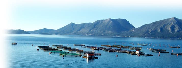 Marine Aquaculture Farms